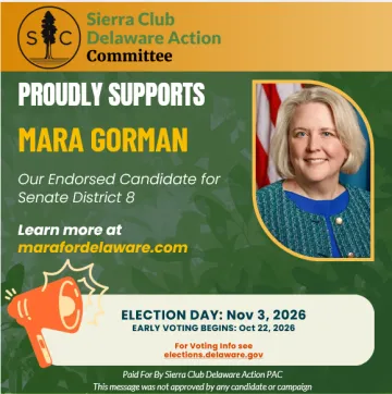 Vote Mara Gorman for Senate District 8 on Election Day, November 3rd