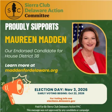 Vote Maureen Madden for House District 38 on Election Day, November 3rd