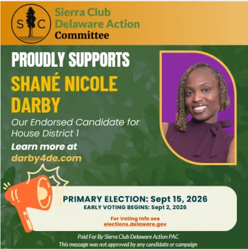 Vote Shané Nicole Darby for House District 1 on Primary Day, September 15th
