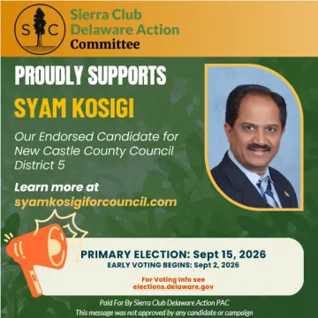 Vote Syam Kosigi for New Castle County District 5 on Primary Day, September 15th