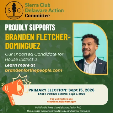 Branden Fletcher-dominguez RD 3