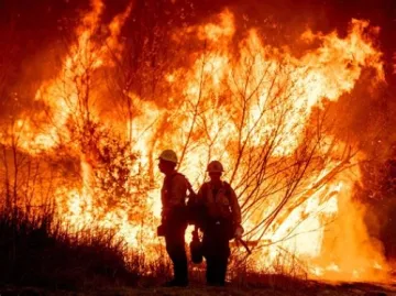 forest fire