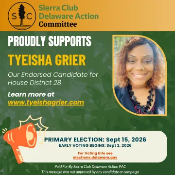 Tye Grier for House District 28