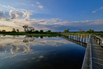 John Bunker Sands wetland