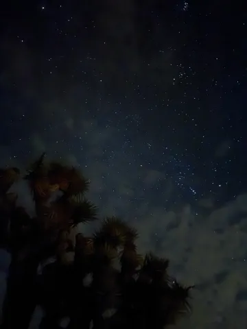 Night sky in Joshua Tree, California