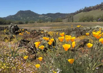 napa land trust