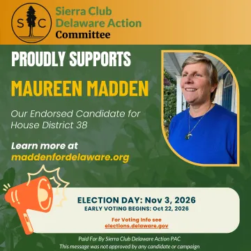 Maureen Madden RD 38
