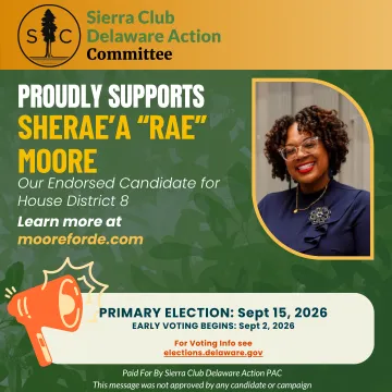 Rae Moore for House District 8