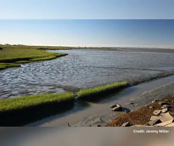Cooley Landing