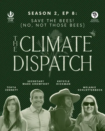 The Climate Dispatch