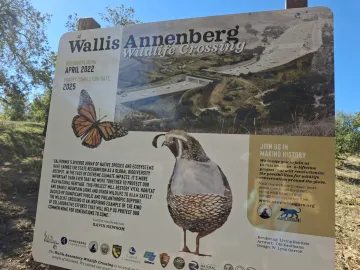 Wallis Annenberg Crossing