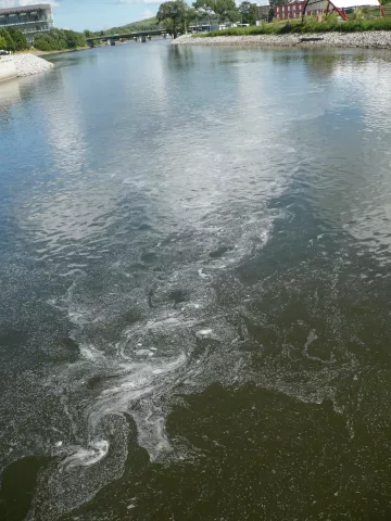 foam on the Cedar River