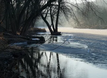 Fog over the Wapsipinicon River