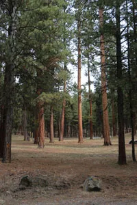 Ochoco-Group-Pondies.jpg