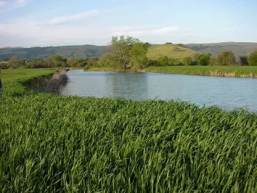 Coyote Valley photo by Denise Dade.jpg