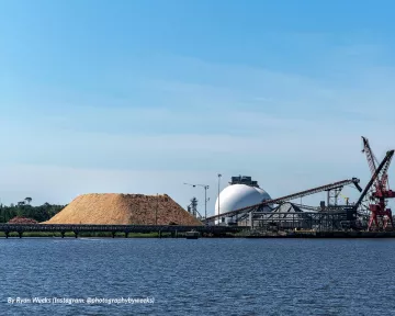 A pile of Enviva's wood pellets awaits shipment to Europe from the Port of Wilmington