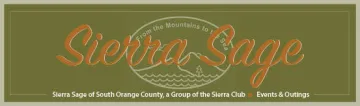 newsletterheader.jpg