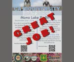 Mono Lake BioBlitz