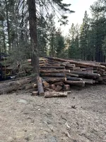 Logging