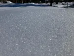 Cross country ski