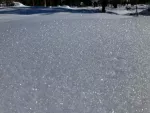 Cross country ski