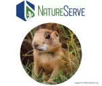 Biodiversity disappearing