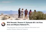 Wild Nevada