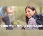 Seeking Chapter Director