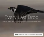 Long Valley