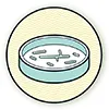 Microbes and Fungi