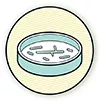 Microbes and Fungi