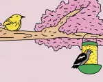 bird songs