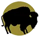 Bison
