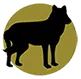 Mexican gray wolf