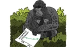 Illustration of a gorilla
