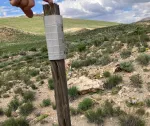 Claim stake