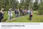 Wildflower hike