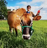 cow
