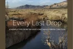 Every Last Drop