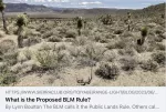 BLM rule