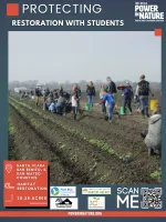 Power in Nature poster