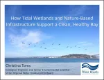 Christina Tom's Slide Deck