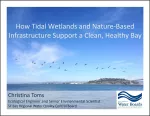 Christina Tom's Slide Deck