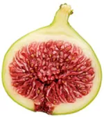 fig
