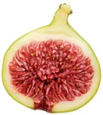 fig