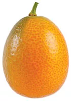 kumquat