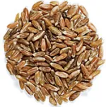 freekeh