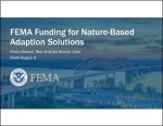 FEMA Deck
