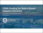 FEMA Deck