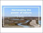 Julie Beagle's Slide Deck